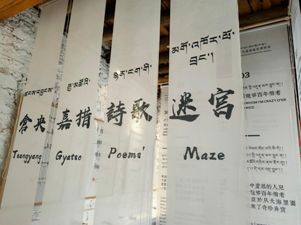 理塘旅投总经理杜冬：丁真火了，我很焦虑
