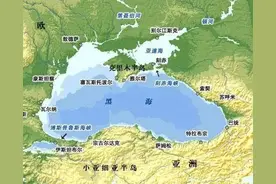 林子大了，什么“风”都有图片