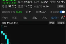 三大因素重创，注册制新股上市第二天就遭遇暴跌图片