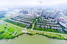 我住广州，却被困在“孤岛”图片