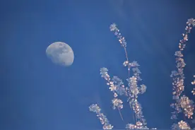 一句｜长江之歌：春江花月夜图片