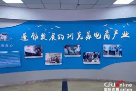 「外籍记者看新疆」新疆阿克苏：电商孵化脱贫致富梦图片
