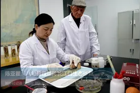 陈亚瞿：八旬教授坚持长江口生态修复视频封面