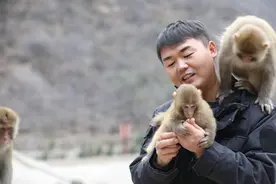 匡振京：太行山中的“猴爸爸”图片