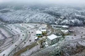 未来三天，贵州这些地区有雨雪，注意防寒防滑图片