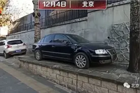 是个狠人！前后都是大树，轿车咋停上半米高台阶？图片