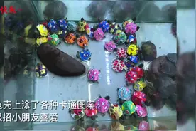 彩绘小乌龟好看但是对身体有害，专家：不建议家长为孩子购买图片