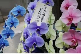 木村拓哉与工藤静香迎来结婚20周年纪念日，粉丝赠言：愿爱永不变图片