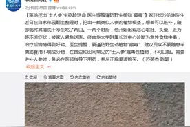 菜地挖出“土人参”生吃险送命 医生提醒谨防野生植物“藏毒”图片