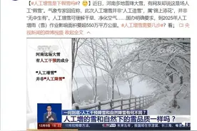 河南的这场雪是假雪？央视：和自然降雪品质一样 一点也不假图片