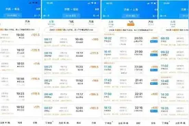 2021年元旦出行票价出炉 部分飞机票价低于高铁成长途首选图片
