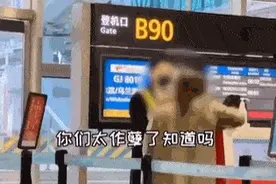 因迟到登机遭拒，哺乳期妈妈大闹机场：“我要全国最大的点击量！”图片