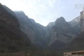 太行山里的“猴爸爸”图片