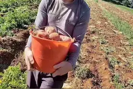 云南90后小伙身残志坚：用3年时间，实现线上交易额破9千万图片