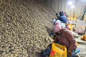 “两旗”摘帽幕后故事：小土豆与未来的站台图片