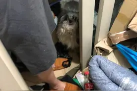 韩国一未婚母亲住垃圾堆被邻居举报，警方出警发现其冰箱藏儿子尸体两年图片