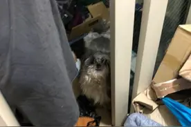 韩国一未婚母亲住垃圾堆被邻居举报，警方出警发现其冰箱藏儿子尸体两年图片