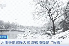 冲上热搜！河南大雪，被网友质疑是“假雪”！只是下了个“寂寞”？！专家解答来啦图片