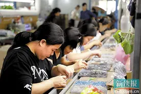饶平脱贫有良方图片