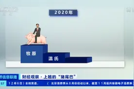 突然，猪肉价格反弹！菜市场现“抢肉大战”！1头猪利润=2瓶茅台酒？房企抢滩！卖猪比卖房挣钱？图片