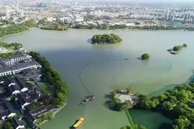 每天净化20万吨水！南湖水下“森林”正旺盛生长图片