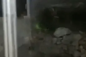 外出拿棍棒？送孩子带镰刀？图片