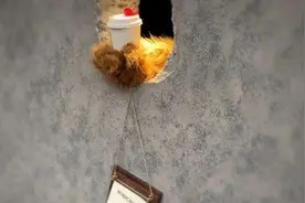 新媒：在中国，一只“熊爪”成了善意信号图片