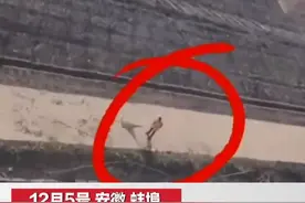 直升机路过帮环卫工扫树叶，驾驶员称是举手之劳，网友：太酷了图片