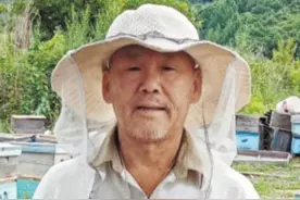 蜜蜂“盖雪被”越冬体质强图片