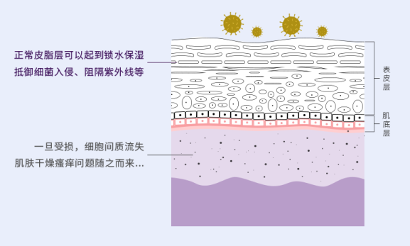 新生儿抹身体乳好还是精油好