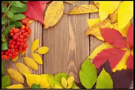 散文：秋日的树林图片