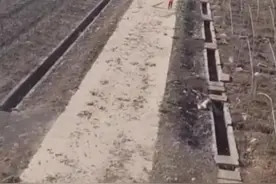 新奇！开着直升机帮环卫阿姨扫落叶，驾驶员回应并非炒作图片