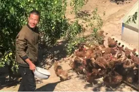 产业带动 长效“造血”——国家能源集团神东煤炭集团公司扶贫纪实图片