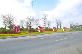 “花都”实至名归！公路、绿道、公园……花都区将花卉融入城市生活当中图片