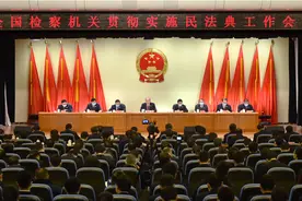 最高检副检察长：民事检察要处理好新旧法律衔接与适用问题图片