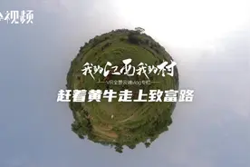 【中国的脱贫智慧】全景vlog专栏《我的江西我的村》：赶着黄牛走上致富路视频封面