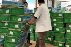 真香！蒙古国捐赠的羊到日照啦！分给了他们图片