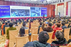 美术生怎么冲刺校考和高考？本报公益报告会全讲清楚了图片