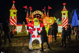 波兰举办“爱丽丝梦游仙境”灯光展 光影世界美轮美奂图片