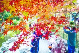 上海迎“大雪”节气 下周初气温将降至10℃以下图片