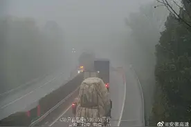 沪渝高速合安段两货车追尾一车着火 现场合肥往安庆方向临时封闭图片