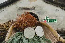 大大大大大大大，芋见乐昌，不止于大｜寻找南方优品㉗图片