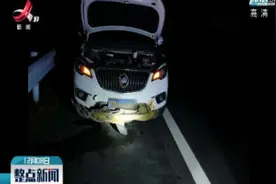 永武高速：野猪出没高速路 瞬间被撞飞视频封面