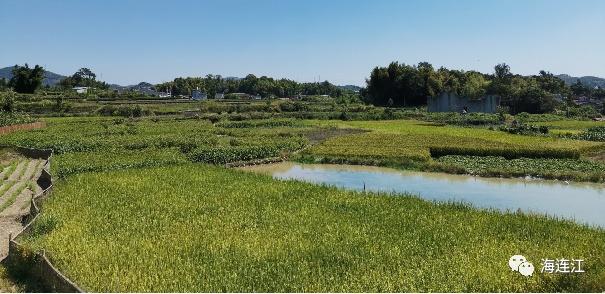恭喜！省级示范，连江两家入选