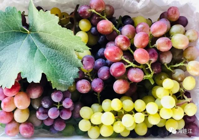 恭喜！省级示范，连江两家入选