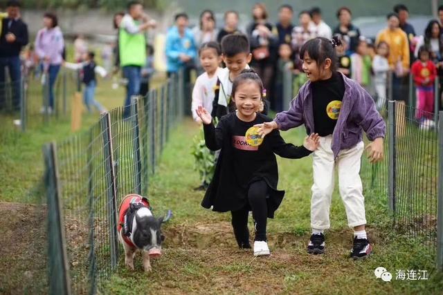 恭喜！省级示范，连江两家入选