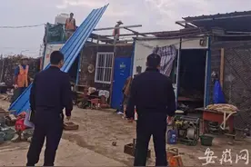 拆违进行时｜合肥经开区拆除一处超期临建群 腾退土地10亩图片