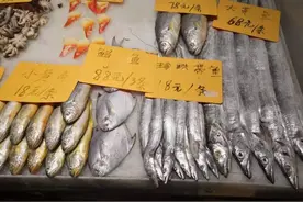 重仅一二两，鱼肉粉嫩、入口即化、鲜掉眉毛！快来吃东海mini珍珠带鱼喽图片