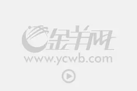 中医铁娘子林毅：狙击全球第一癌图片