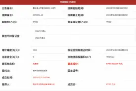 天安数码8.7亿元 落子金山湖15.69万平产业用地图片
